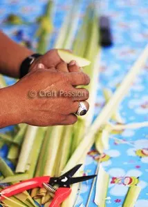 grasshopper 3 grasshopper 3