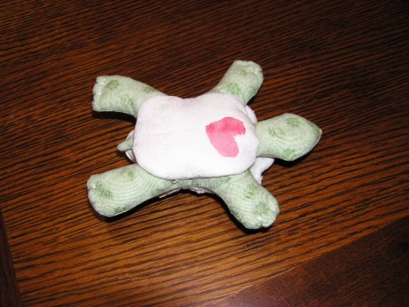 Feb 2010 pics 014 small turtle