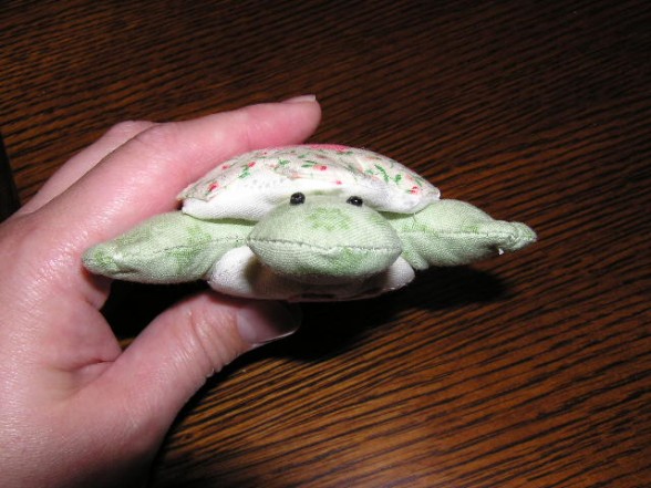Feb 2010 pics 015 small turtle