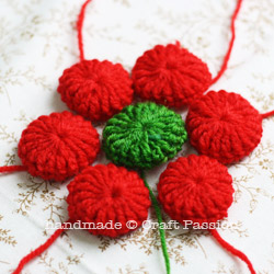 Crochet Poinsettia