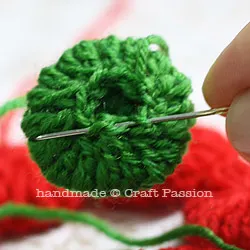 crochet poinsettia