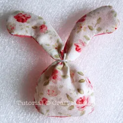 long ear bunny