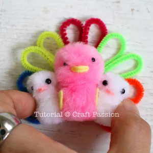 pom-pom turkey