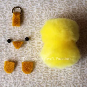 chick features