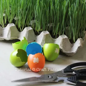 egg shell craft