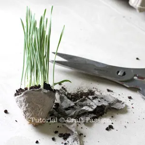 egg shell craft