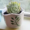stenciled flower pot