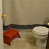 stenciled shower curtain