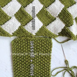 strap and gusset