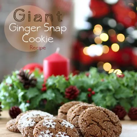 giant gingersnap cookies