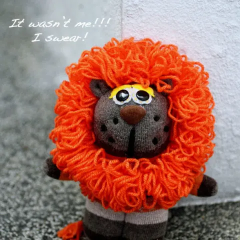 single sock lion