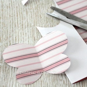 cut butterfly