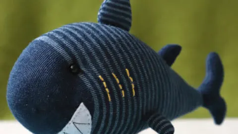 sock shark