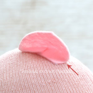 sockpig9 sock pig
