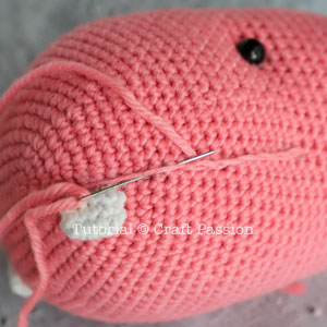 ami hippo 16 hippo lips