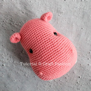 ami hippo 17 hippo nostrils