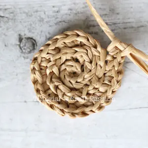 variation single crochet