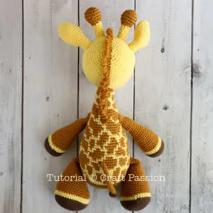 giraffe back