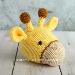 giraffe head