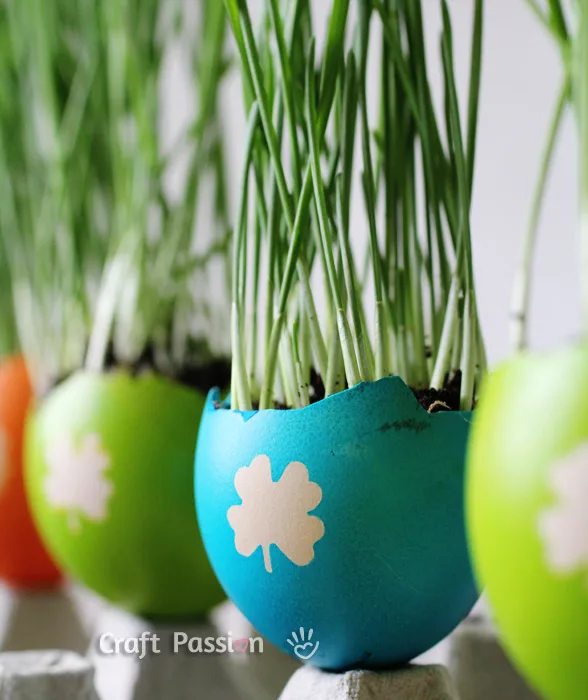 egg shell planter