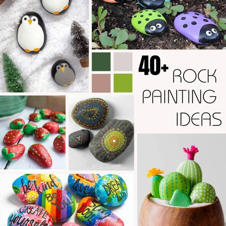49 rock painting ideas for you to DIY
