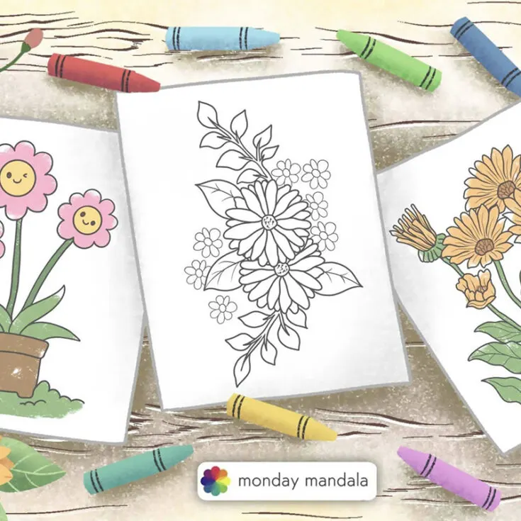 Have a look at Monday Mandala&rsquo;s wide range of beautiful flowers. From patterns that are simple to color, like Swamp Rose Mallow, which is suitable for kids, to more intricate designs, like the Intricate Daisy Flower Mandala, which is more fitting for adults.&nbsp;