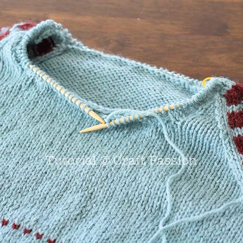 raglan sweater