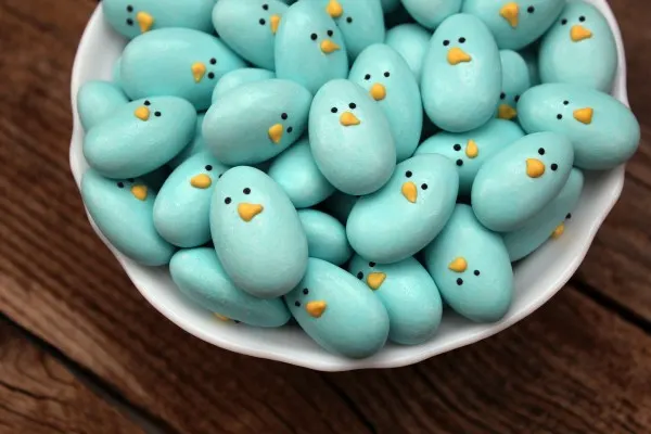 blue birds pebble painting