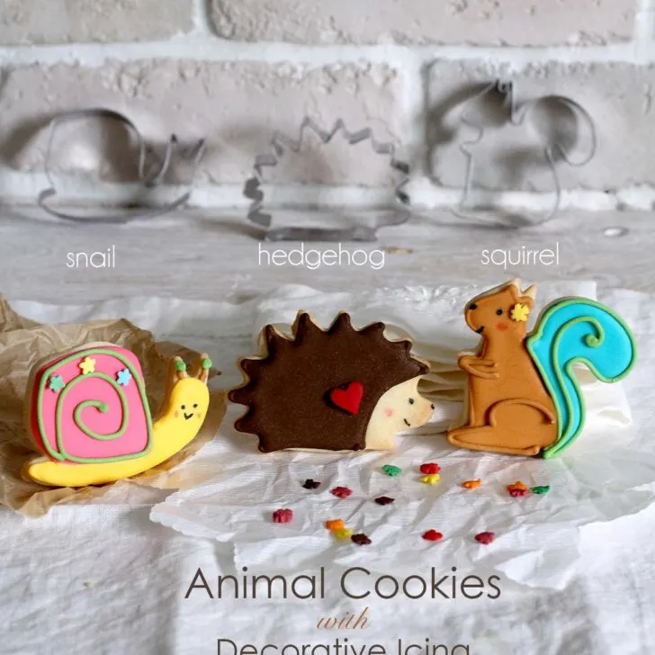 Bake adorable hedgehog, squirrel, & snail-shaped animal cookies and bring them to life with royal icing designs using the piping & flooding method.