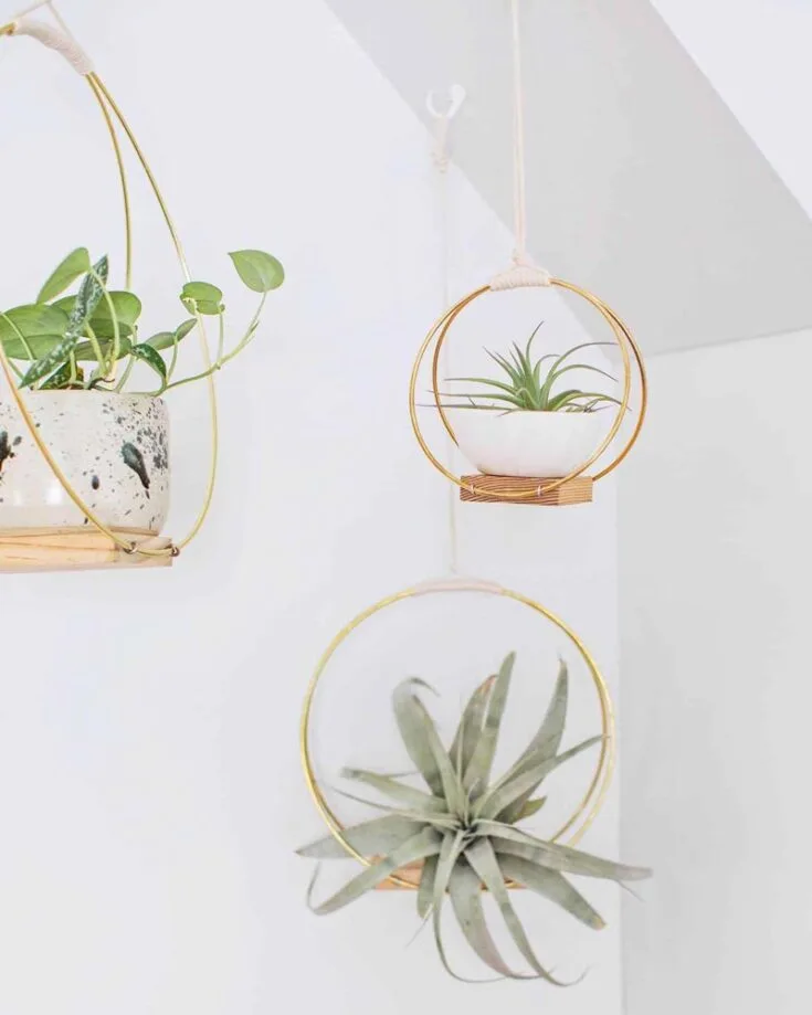 If your Mom loves clean and aesthetic house decor, these hanging planters will tug at her heartstrings. Turn old brass rings into something unforgettable that is also decorative to amp up the fun in your living quarters.