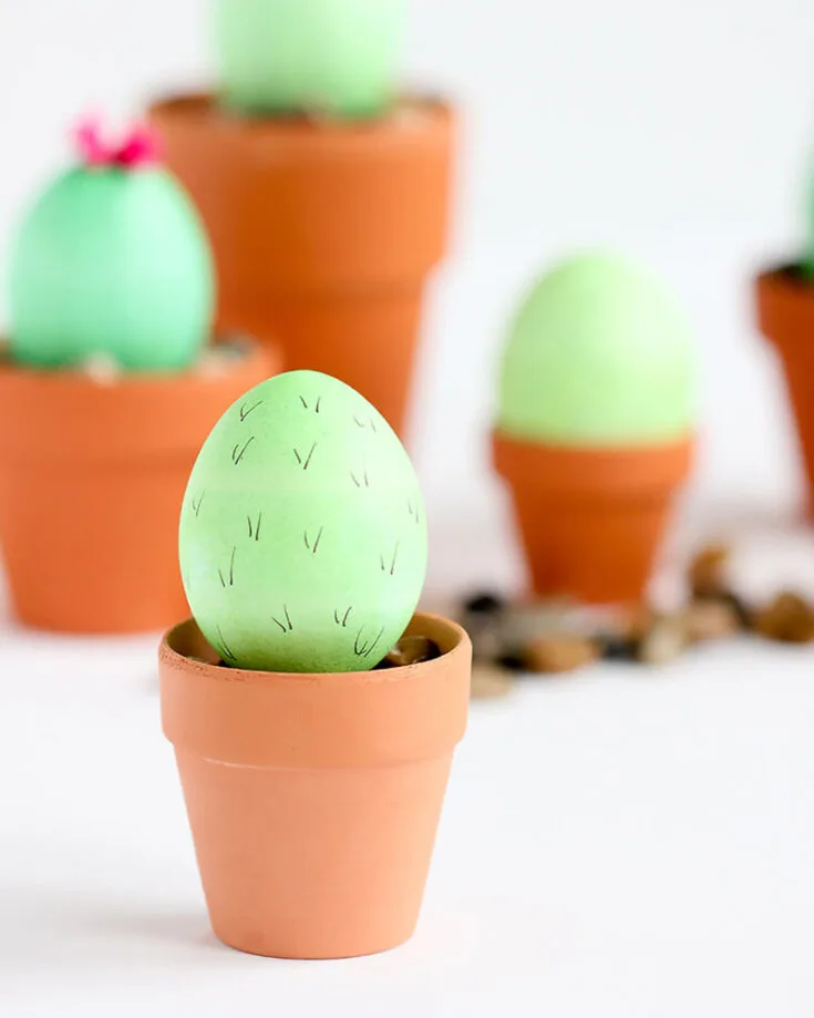 If you have any empty flower pots lying around your shed or garden, don&rsquo;t throw them away! You can reuse them for Easter with this lovely cactus egg design that will earn you many compliments.