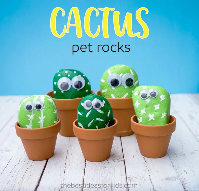 DIY cactus pet rocks painting