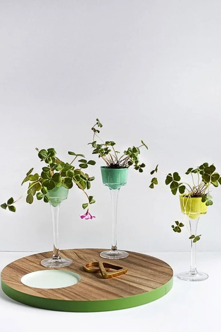 Now, this is a must-have home decor! Growing clover house plants will set the tone for this holiday. Nothing can go wrong with some greenery and nature.