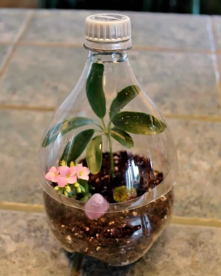 Coke bottles are often overlooked when it comes to upcycling decor which is why we had to include it. Turn your regular plastic Coke bottles into a mini terrarium for your moss to thrive in! They&rsquo;re the perfect containers in lieu of glass, and they&rsquo;re child and pet-safe.