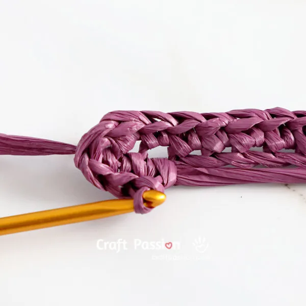 crochet around foundation chain