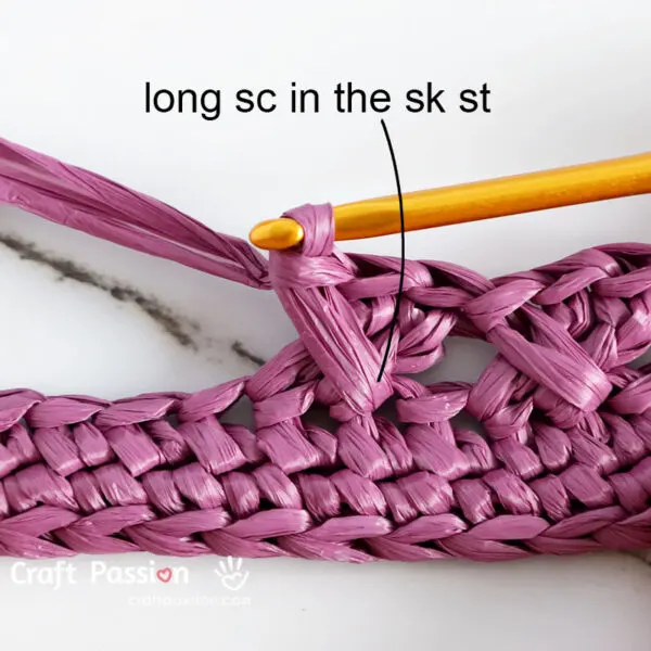 how to crochet sk, dc 2, long sc cross-over cable stitch, pic 4/4