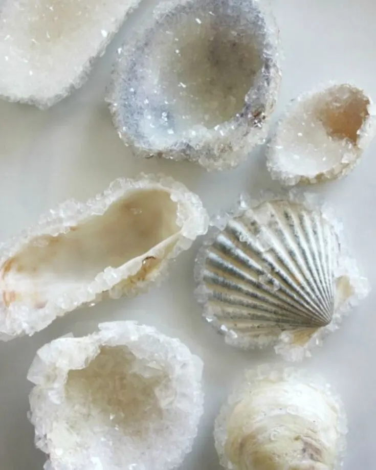 As a fun summer science project, try growing borax crystals on seashells! This experiment adds a magical charm to learning. It's a fantastic way to make science exciting for kids, combining a simple chemistry experiment with a creative twist.