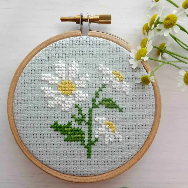 daisy flower free cross stitch pattern