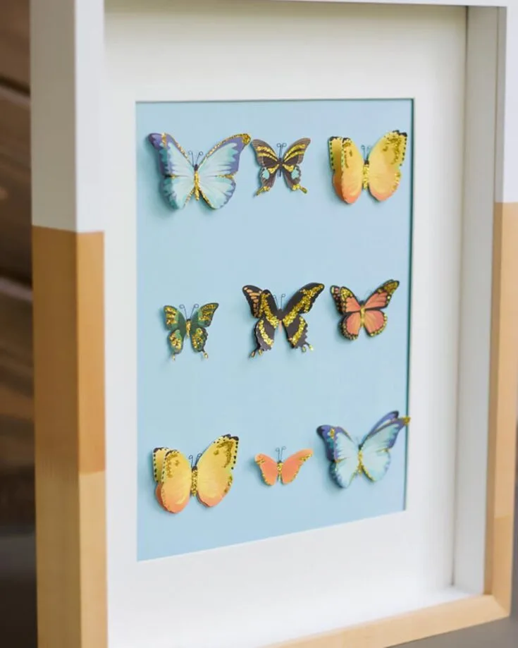 Have you ever seen butterfly art that used real preserved butterflies that are set on display? Want to recreate something like that? We have the perfect craft for you! Try this tutorial out; we guarantee you'll have a mini museum right at home.