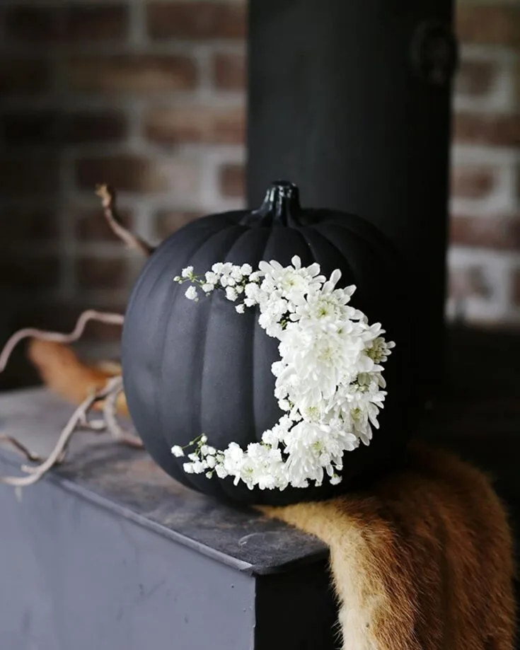 Watch this beauty in the middle of the night bloom with floral patterns! Adorn your ordinary pumpkin with flowers that are so beautiful to take it to the next level. It will make the perfect Halloween decor with blooms, black paint, and love.