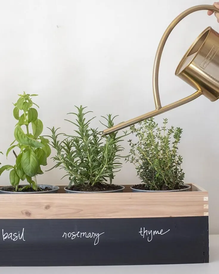 Create a mini indoor garden oasis that will bring a breath of fresh air to Momma&rsquo;s kitchen. Grab some paint, pots, and your Mom&rsquo;s favorite herbs, and add a dash of sunshine to craft this adorable gift for Mother&rsquo;s Day.