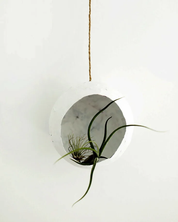 This aesthetically pleasing DIY paper mache air plant pod is definitely a craft for adults. Elevate your interior design with this affordable handmade decor!