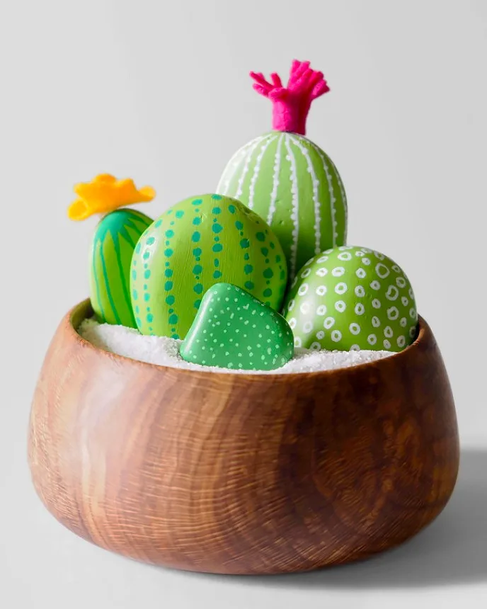 how to paint rock cactus