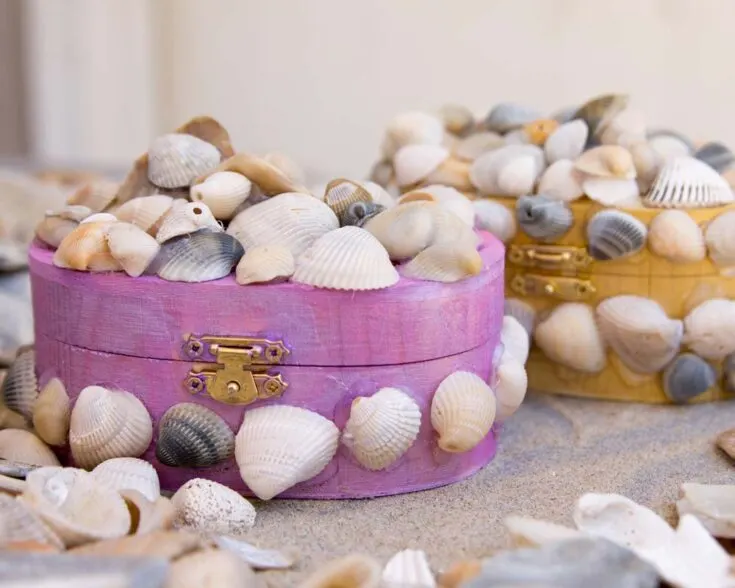 Seashell treasure boxes are just perfect for the little ones who adore collecting seashells and have little treasures to keep safe. These adorable boxes make organizing their special finds super fun and add a splash of coastal charm to their room!