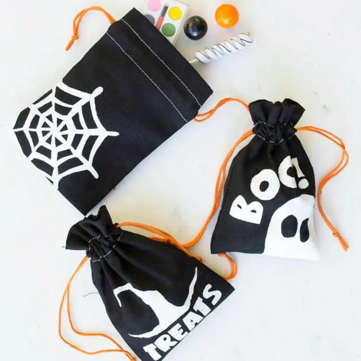 Why settle for plastic or paper bags when you can create something unique? This is an easy and fun DIY project using treat bags from the dollar store. With the free downloads available, whip up your templates and paint the bags with cute, spooky designs of your liking!