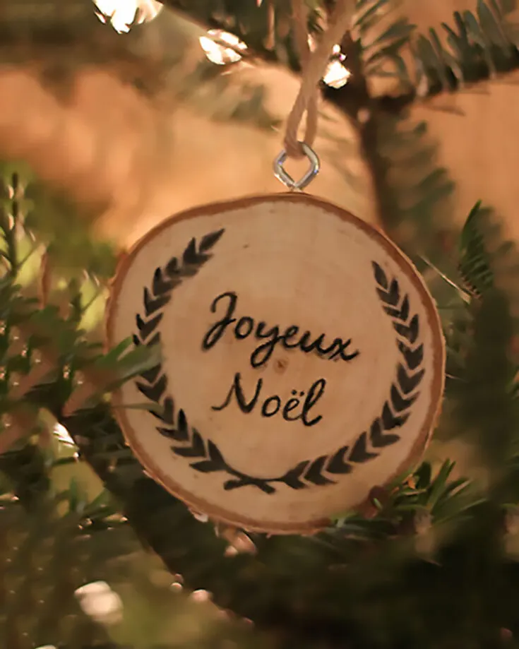 Use wood slices or chips to make some ornaments that stand out on your Christmas tree. Draw cute animals or write meaningful phrases that symbolize Christmas. Try it!