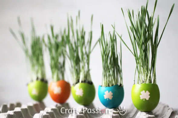 egg shell craft idea