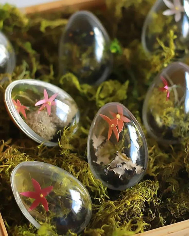 Looking for some cute miniature terrarium designs for this upcoming Easter? We have you covered with this awesome design, and they&rsquo;re all inside transparent egg casings! How cute is that?