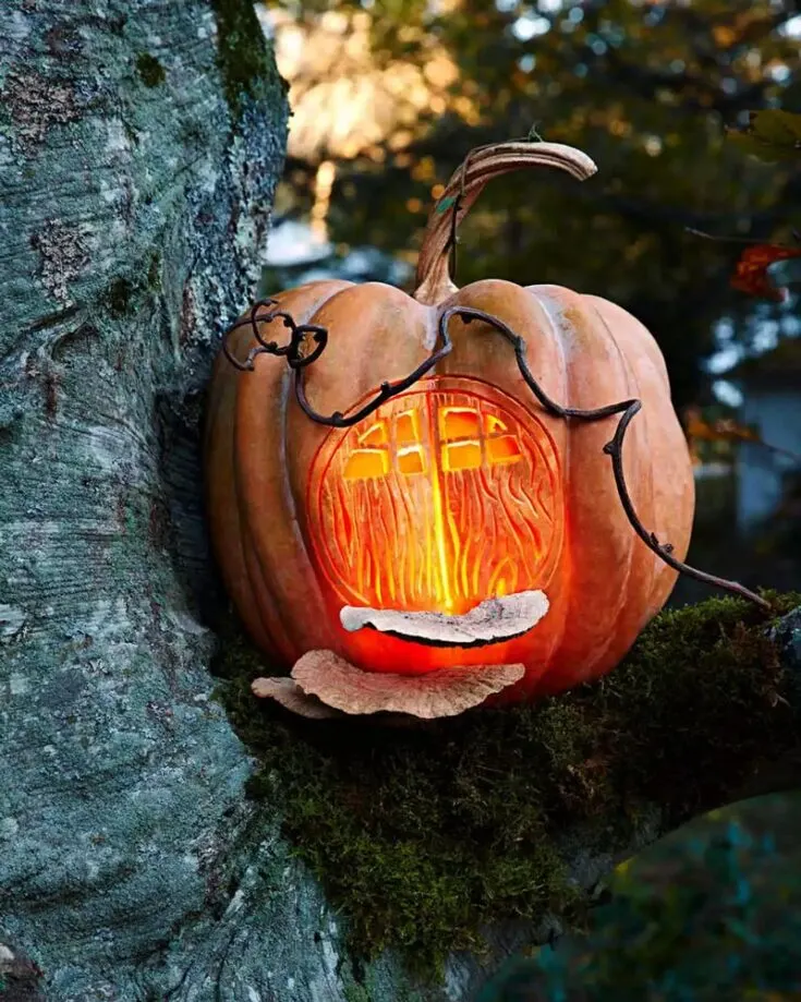 Using decorative items and carving techniques, transform a pumpkin into a mystical fairy house! Step into a world of enchantment and watch it glow in gleaming wonder, exuding an inviting environment!