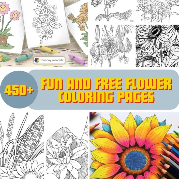 Jazz up your arts and crafts session with our 450+ flower coloring pages. The designs range from various flower patterns, suitable for adults and kids. So pick up your coloring supplies and download your favorite flower page to begin!